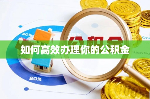 洛江如何高效办理你的公积金