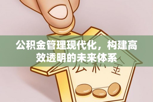 洛江公积金管理现代化，构建高效透明的未来体系