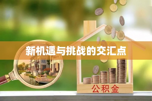 洛江新机遇与挑战的交汇点