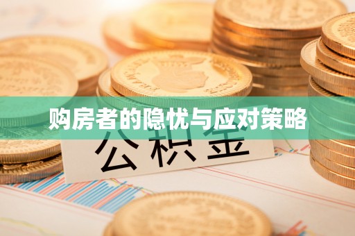 洛江购房者的隐忧与应对策略