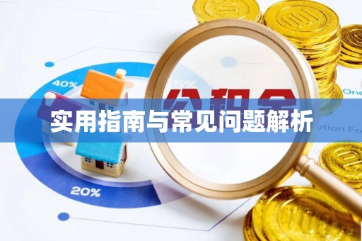 洛江实用指南与常见问题解析