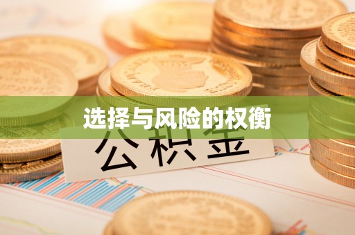 洛江选择与风险的权衡