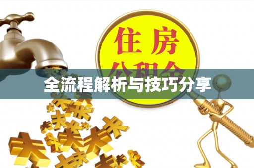 洛江全流程解析与技巧分享